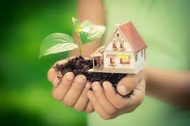 Rise of Eco-Friendly Living